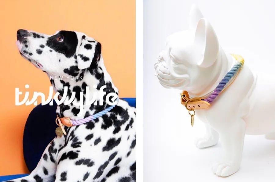 去亚宠展东西很便宜吗,亚宠展攻略快速扫货必备