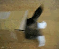 “液体”做的猫究竟可以拉多长？得知真相后，网友纷纷直言：变态