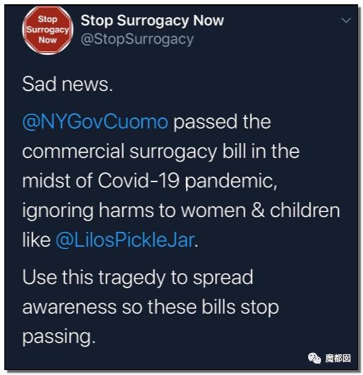 纽约通过合法代孕!中国女性千万要注意,代孕已经毁了很多女孩。
