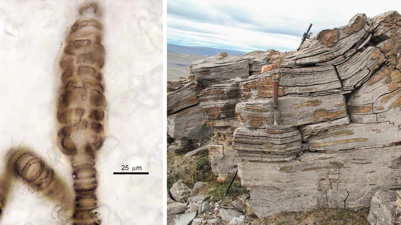 人都是女人生的，在没有人类之前，第一个女人是哪里来的？