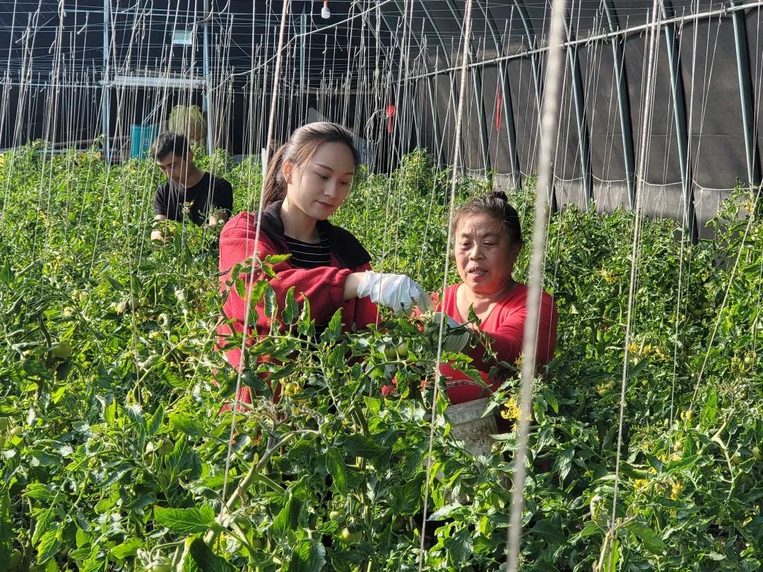 留守书记的春节,留守乡村书记