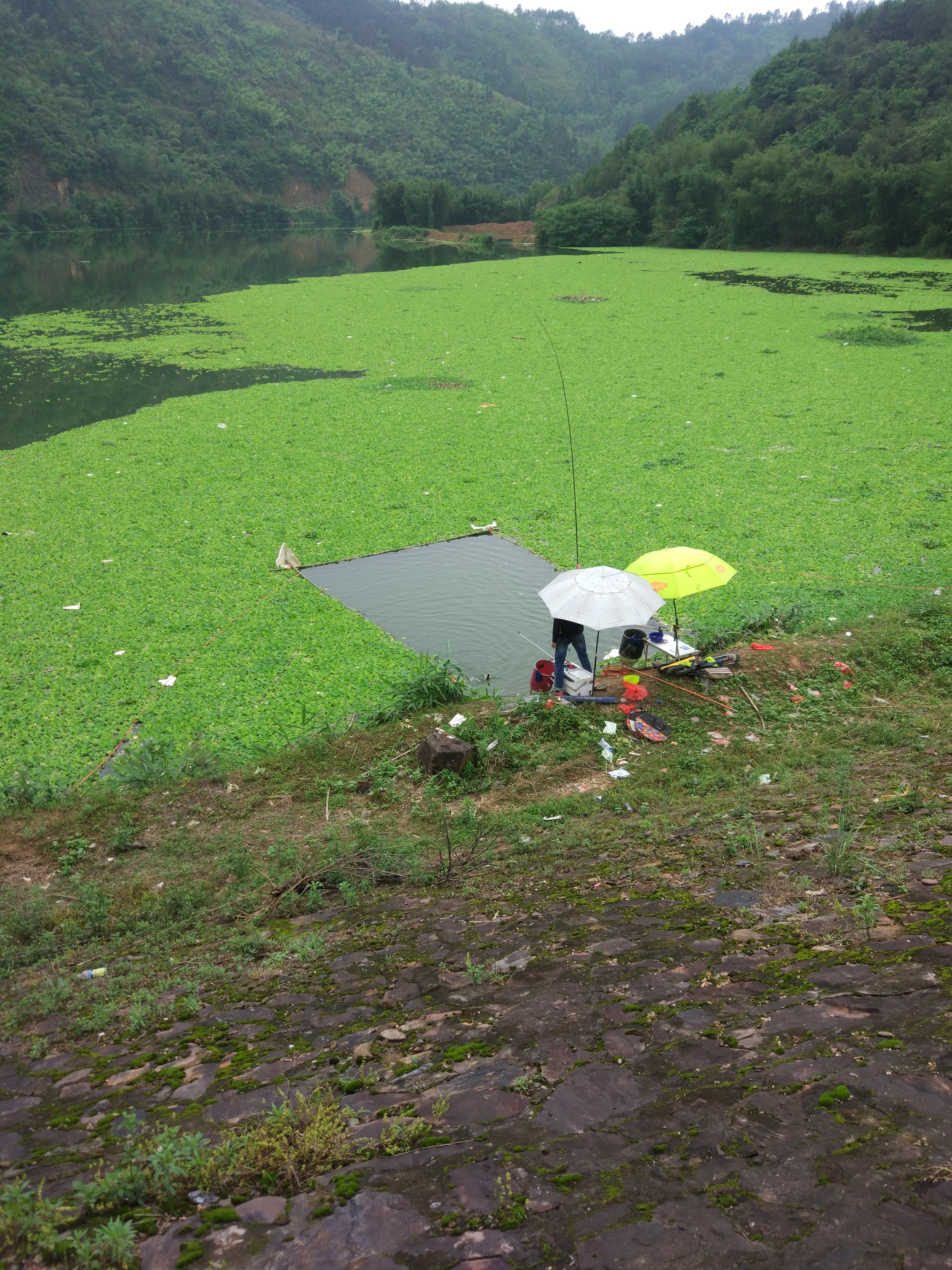 路亚滑漂饵料的制作方法,滑漂钓法之用竿线组饵料篇