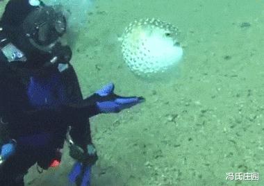 女朋友的爸爸让我二选一,看到网友的神评,哈哈我果断出击了