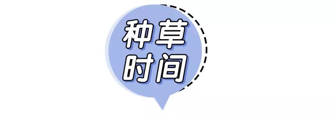 小ck凉拖,小ck为什么突然很便宜了
