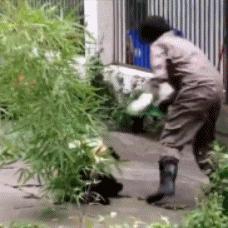 搞笑gif图妹子你这智商真是堪忧啊,搞笑gif妹子你这发型挺别致啊