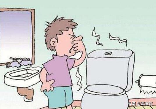 卫生间有小飞虫和臭味怎么解决,卫生间水盆下边反臭味怎么解决