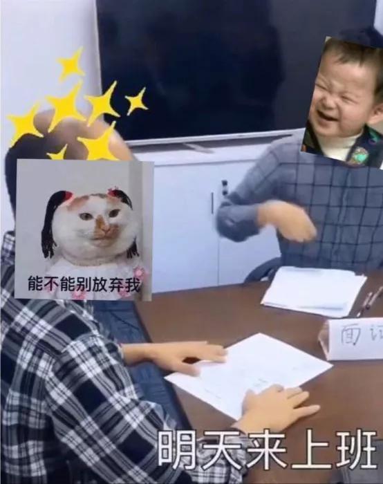 致脱发律师同仁的非法律分析报告｜天同文化