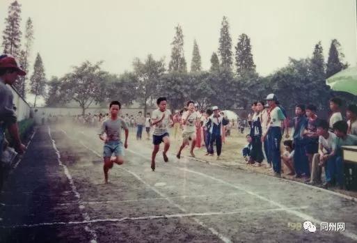 农垦中学甜品,农垦中学美食