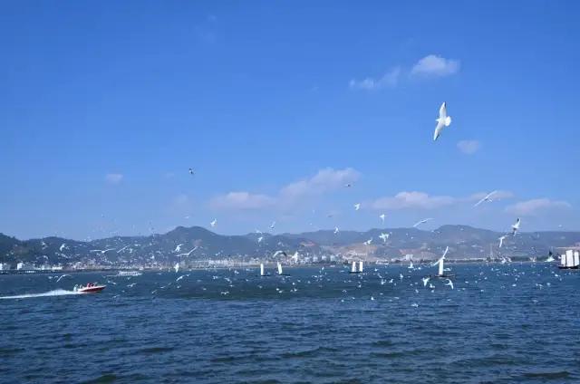 2022荆州机场夏秋航班新增航线,荆州机场目前开通了几条航线