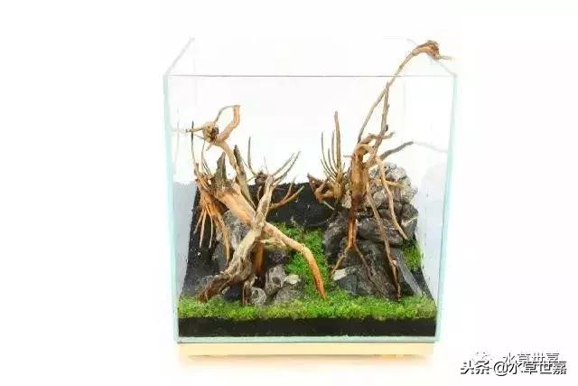 30cm小缸青龙石造景大全,30cm长缸原生溪流缸造景