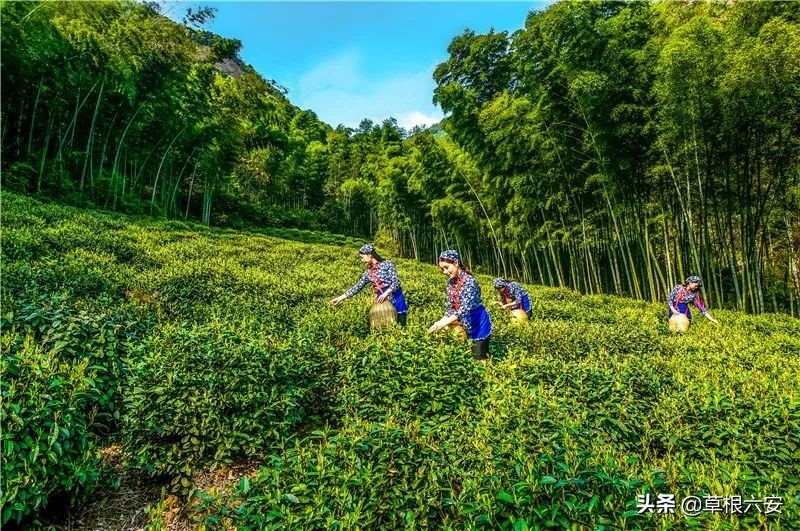 谢谢你来了全集,谢谢你医生