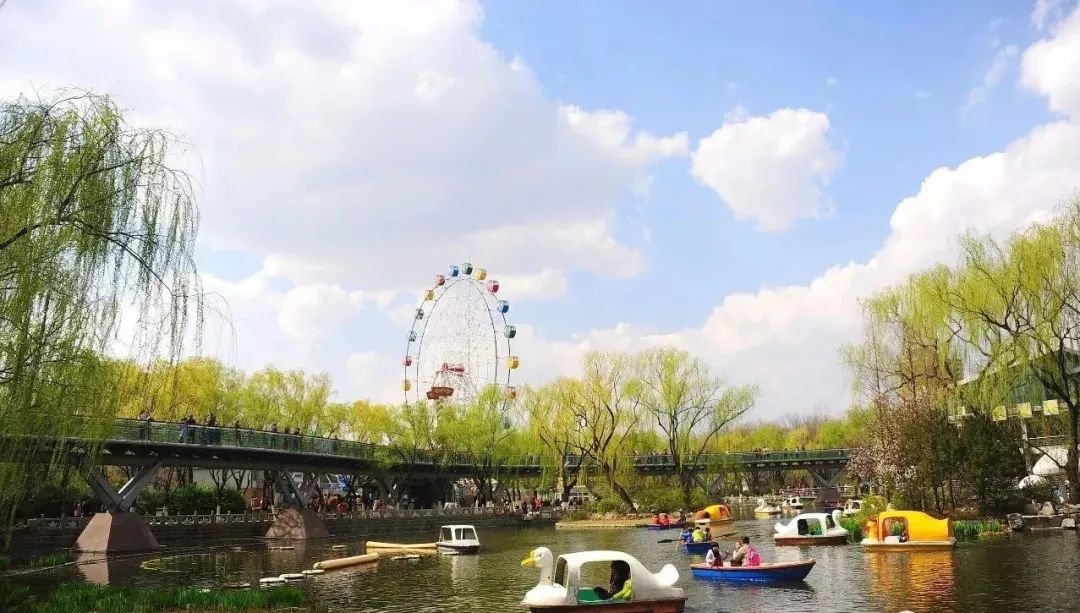 济南3月免费赏花攻略,花都开了济南周边赏花攻略收好