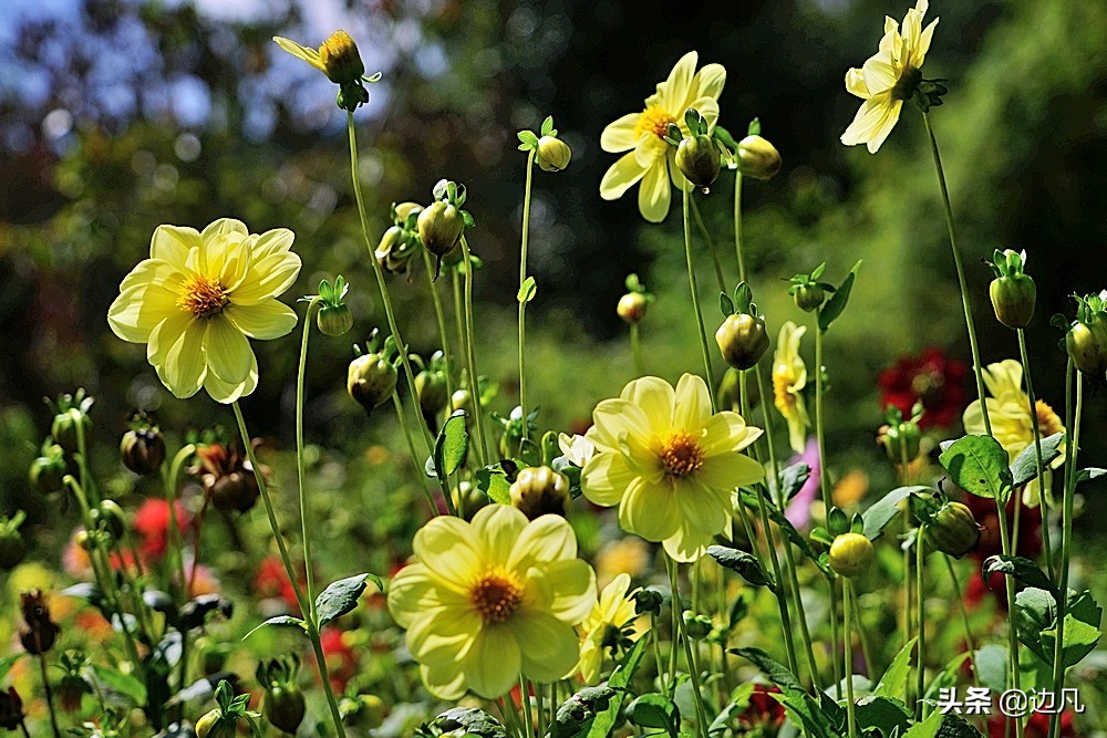 航拍一个村寨,航拍最美山谷风景