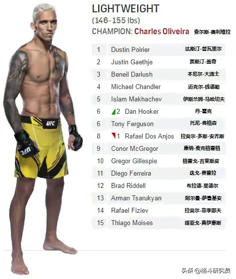 ufc比赛规则和标准,ufc比赛技术分析