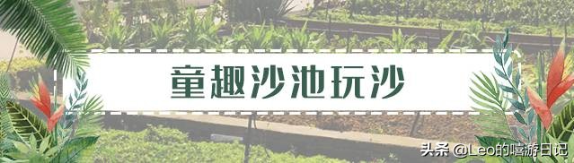 让孩子体验农耕生活的地方,儿童农耕生活体验