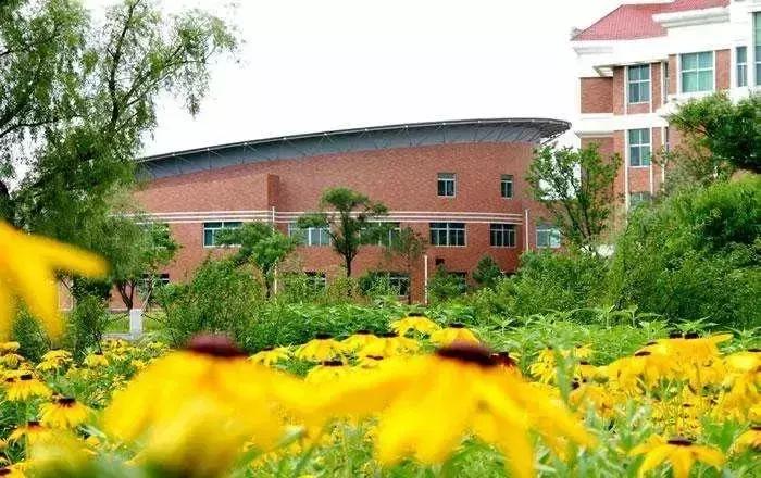 吉林华桥外国语学院现在怎么样了,吉林外国语大学最新消息