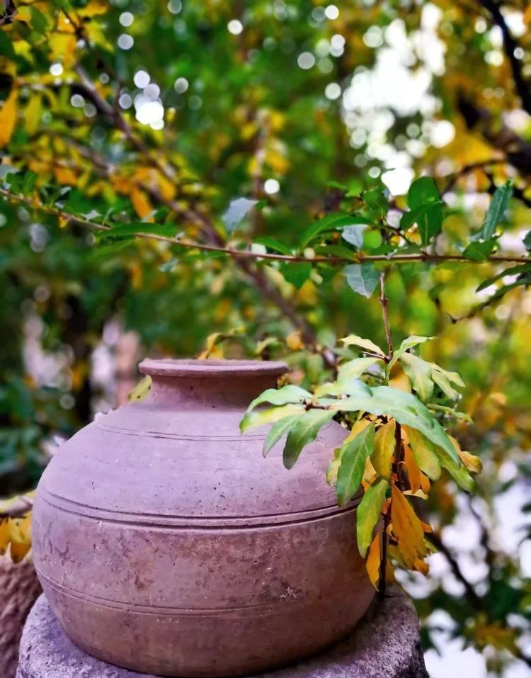 漫随天外云卷云舒原文,漫随天外云卷舒小说