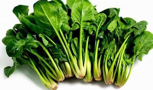 地中海饮食治疗慢性病,地中海式饮食预防疾病