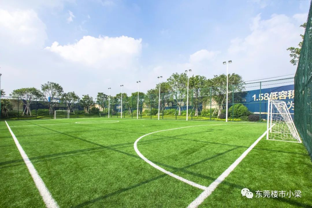 东莞碧桂园玫瑰臻园怎么样,东莞市碧桂园玫瑰臻园