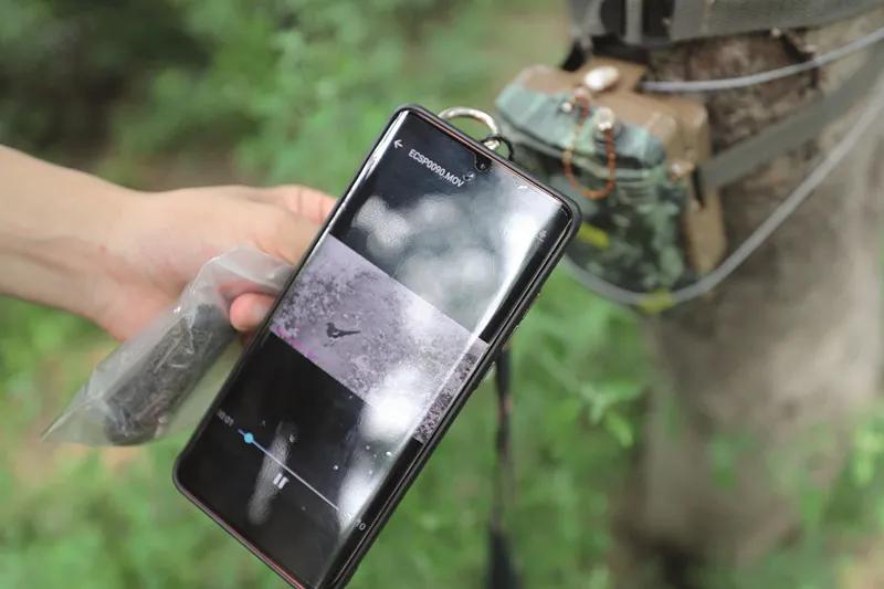 21岁女孩被蚊子叮咬,女生被蚊虫叮咬起大包