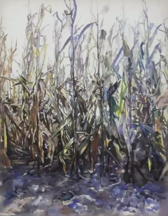 有才华的女人更美丽——青年水彩画家赵丽珍作品赏析