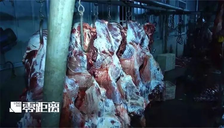 给活牛注水致死牛肉能吃吗,活牛注水后的牛肉