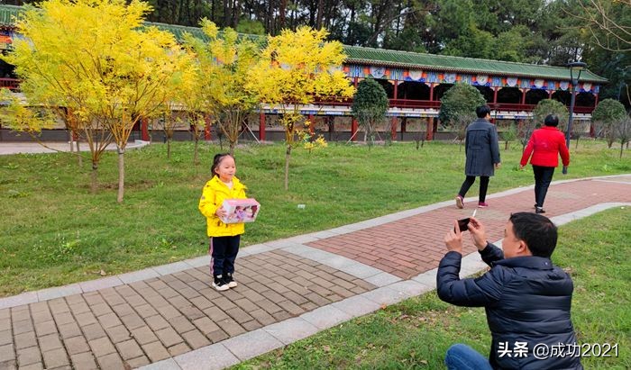 衡阳市区银杏的最佳观赏地,衡阳银杏的最佳观赏地