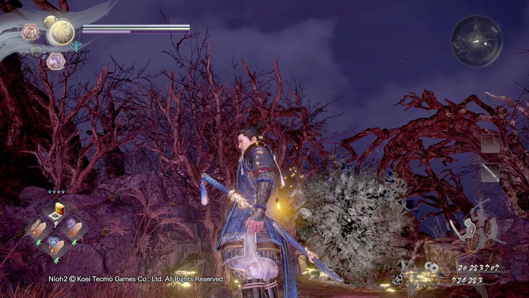 仁王大太刀武功,仁王太刀图片大全