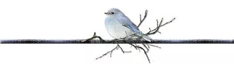 怎么用心理学和别人相处,心理学中如何吸引人