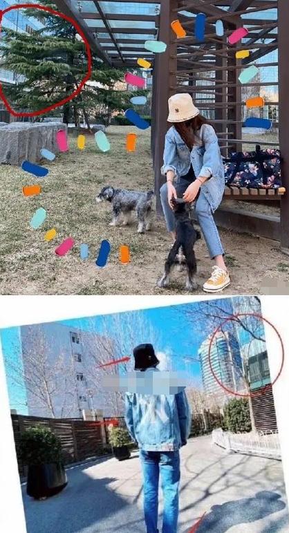 夏家三千金唐嫣完整视频,夏家三千金唐嫣罗晋