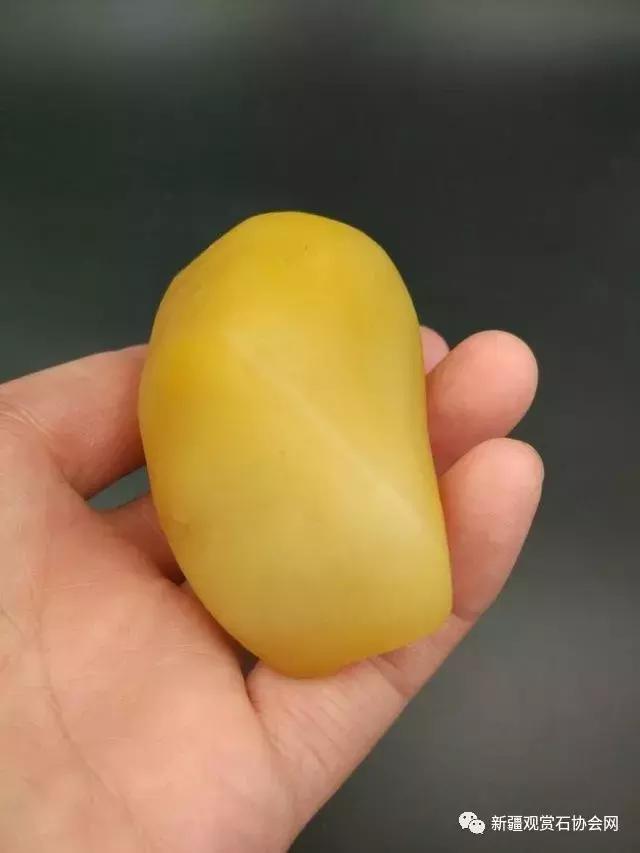 戈壁滩捡玉怎么分辨玉和石头,金丝玉三剑客戈壁滩捡金丝玉