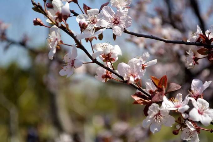 上海玩耍攻略,上海旅游景点交通攻略图