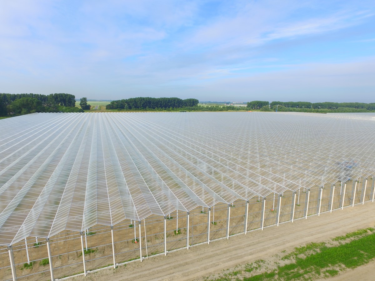 全玻璃温室大棚是嘘头？相比较其它温室的优缺点有哪些