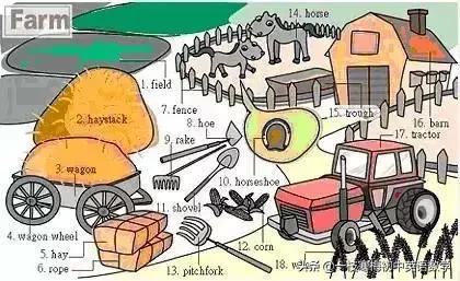 34张图教你记住英语中所有生活用词！