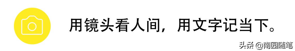 世界尽头与冷酷仙境书籍,书籍的力量名言名句