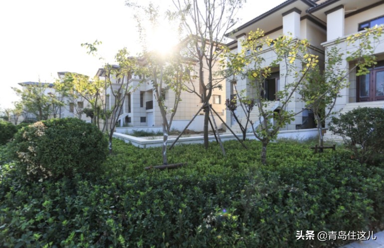 在青岛买房真实感受,在青岛买房买100平方的要多少钱