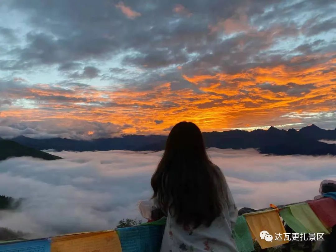 「达瓦更扎、神木垒」桃李花开感谢恩师，老师专属福利速领取