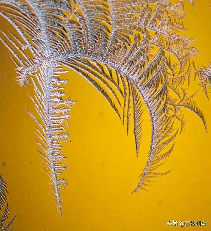 玻璃窗上的霜花像什么,玻璃上的霜花是什么样子