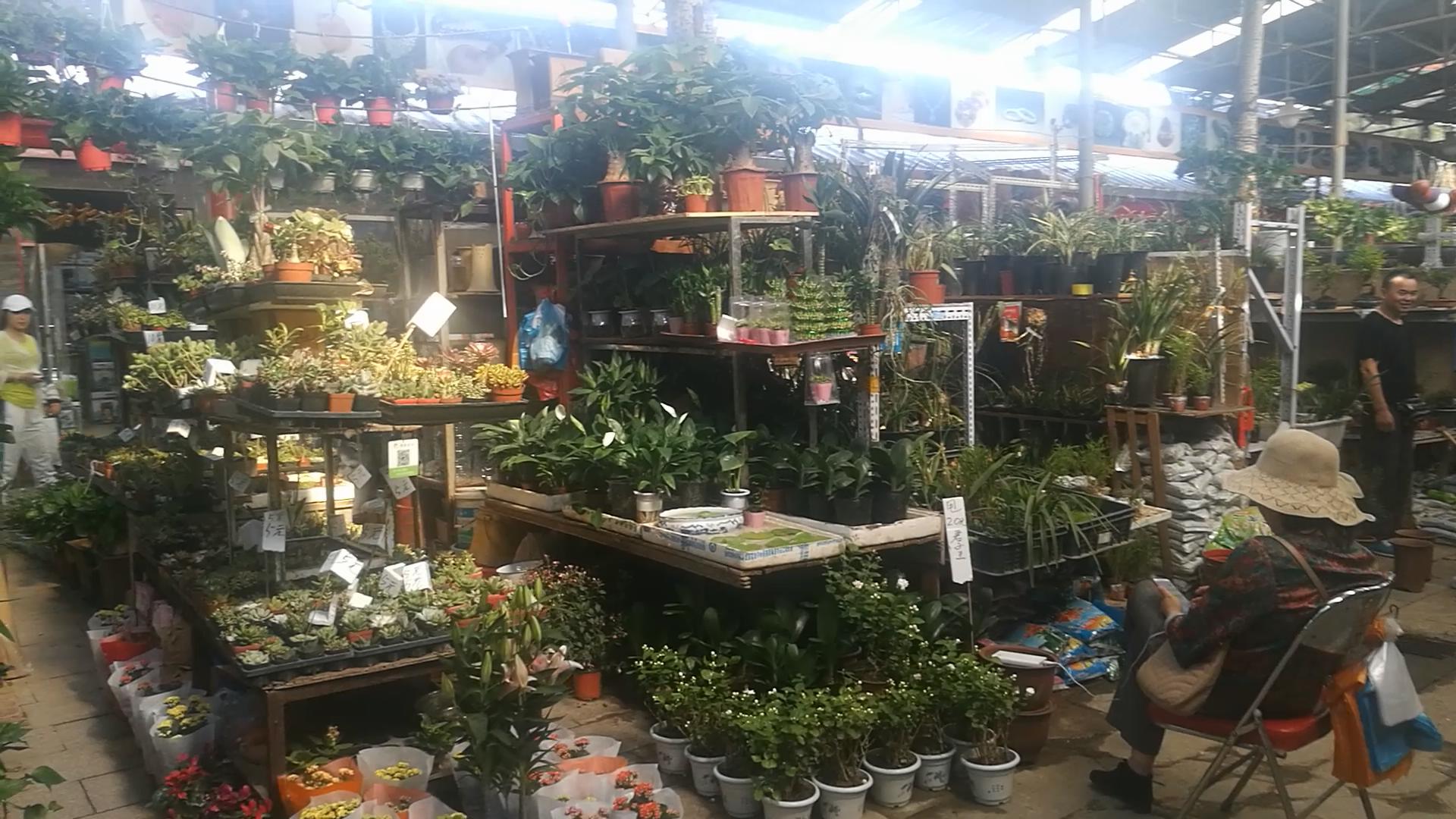 北京十里河鱼市,都说它拆了,我却看到了综合性的水族市场