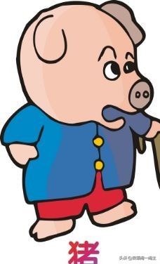 十二生肖的猪和鸡合吗,十二生肖全部猪的介绍