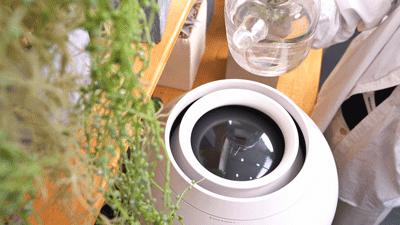 长得像饮水机的加湿器,像坛子的加湿器