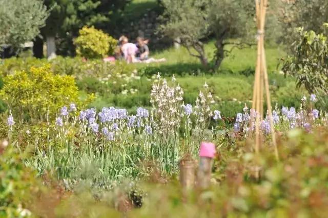 世界香水之都,法国最好的香水镇