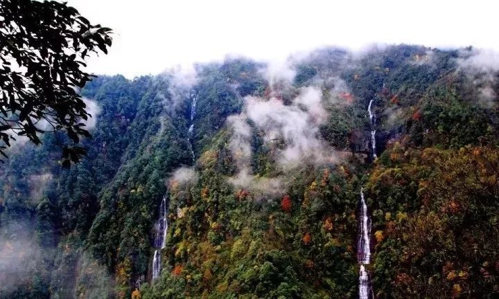 一泡而红!四川这座小城已火向全球,今天万人齐聚!