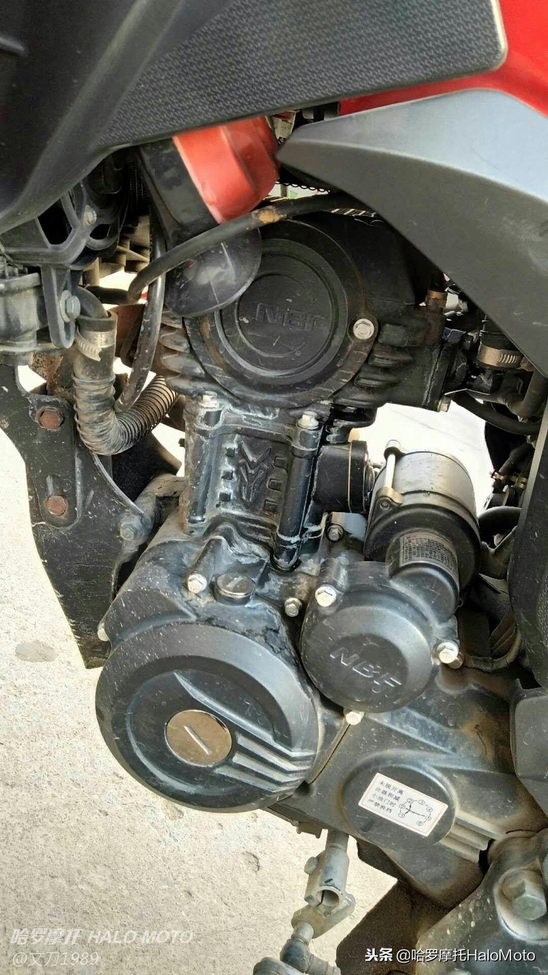 哈啰车评,哈罗评车20期