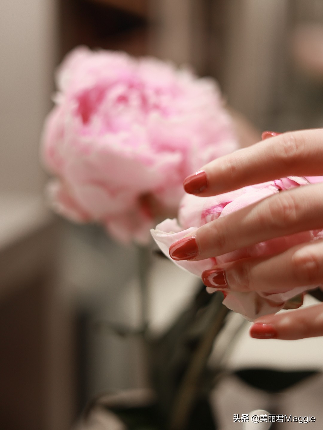 爱用好物分享生活,爱用好物分享