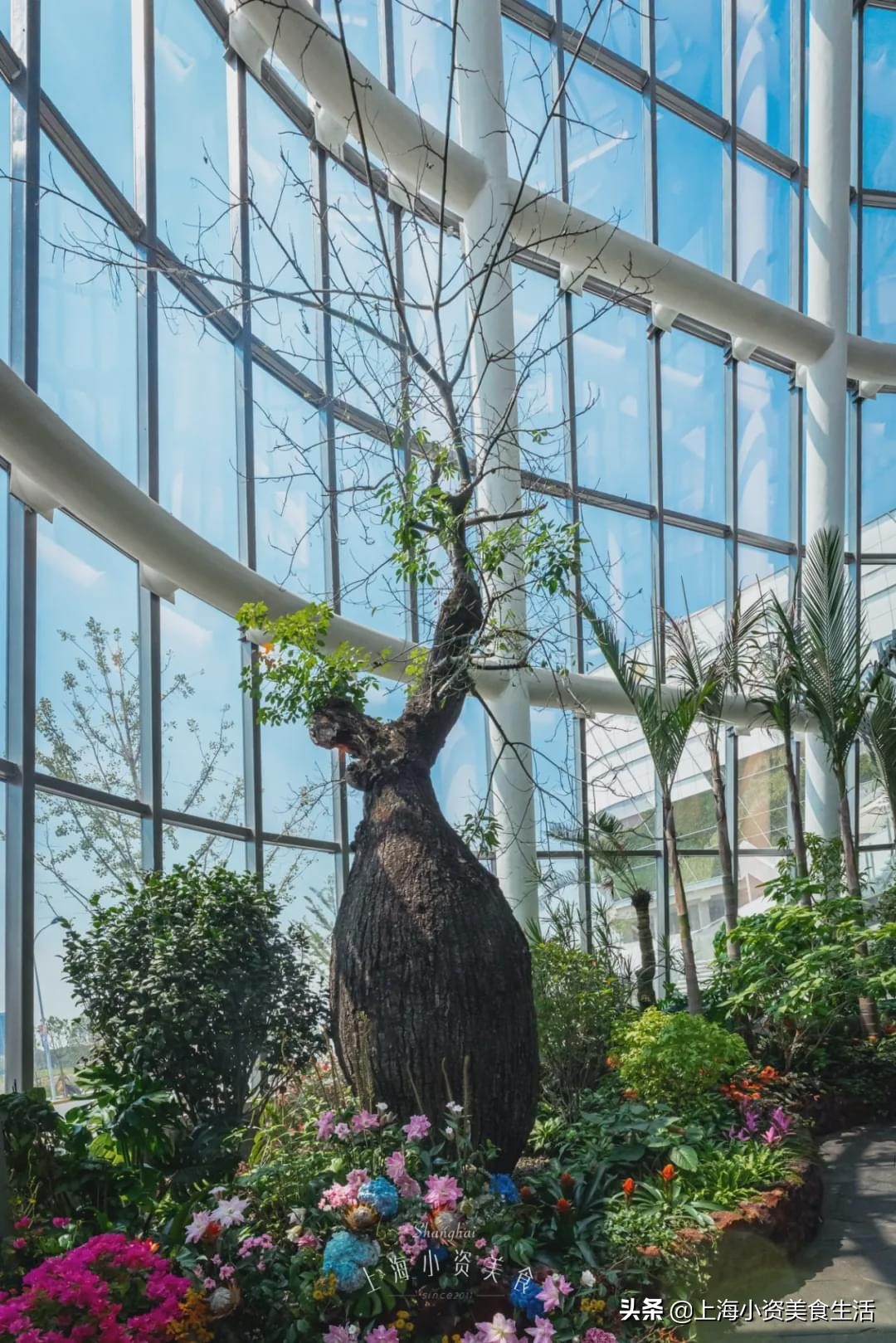 上海最大购物中心南翔印象城,魔都再添80000重磅商业地标