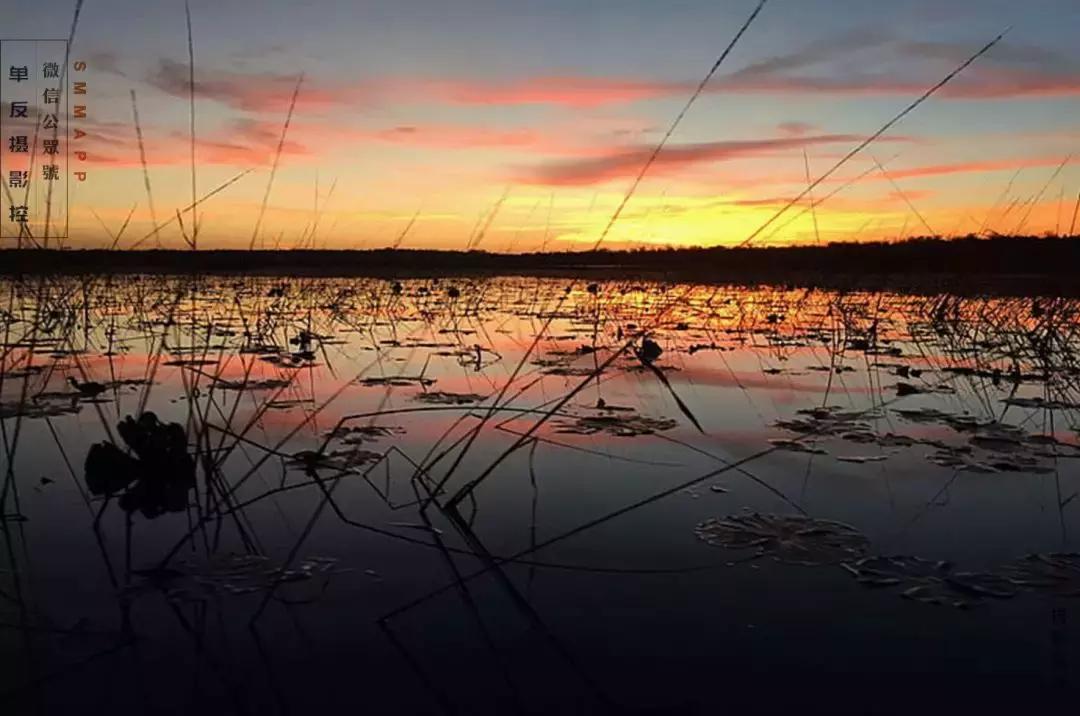 光圈如何设置最佳参数范围,关于光圈你需要了解的几个小常识