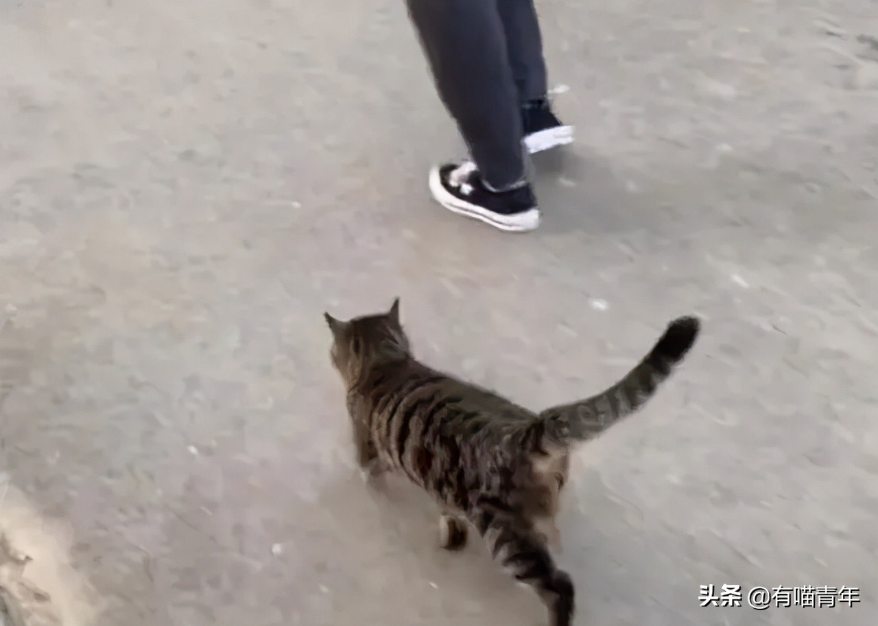 男子报警21岁喜当爹,男子喜当爹做了一件荒唐事