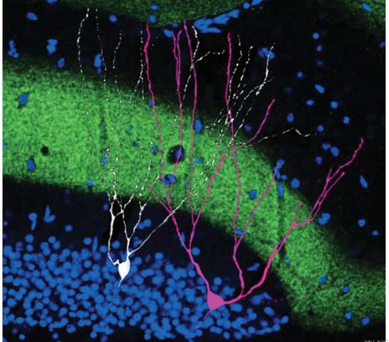 深兰科技现场,深兰科技