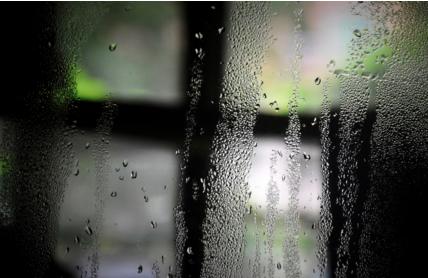 十一月，湿寒相交，头部最“受罪”！做到“两不三多”，让你温暖过冬